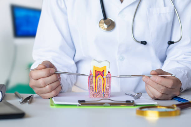 Best Emergency Gum Pain Relief  in Taft, CA